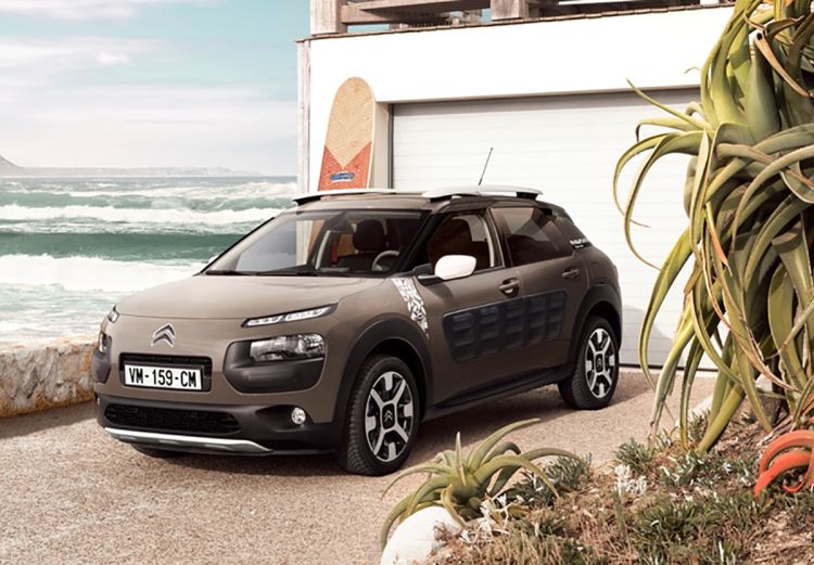 C4 Cactus Rip Curl