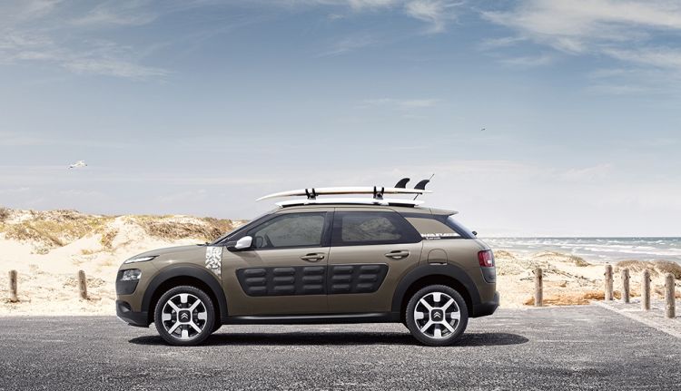 C4 Cactus Rip Curl