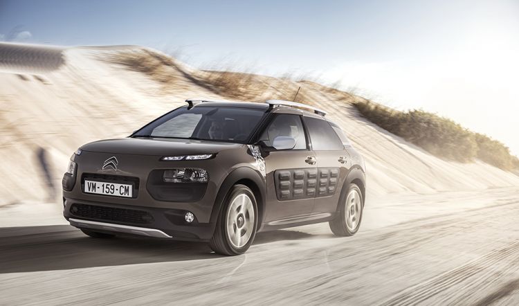 C4 Cactus Rip Curl