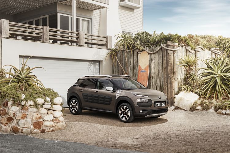 C4 Cactus Rip Curl