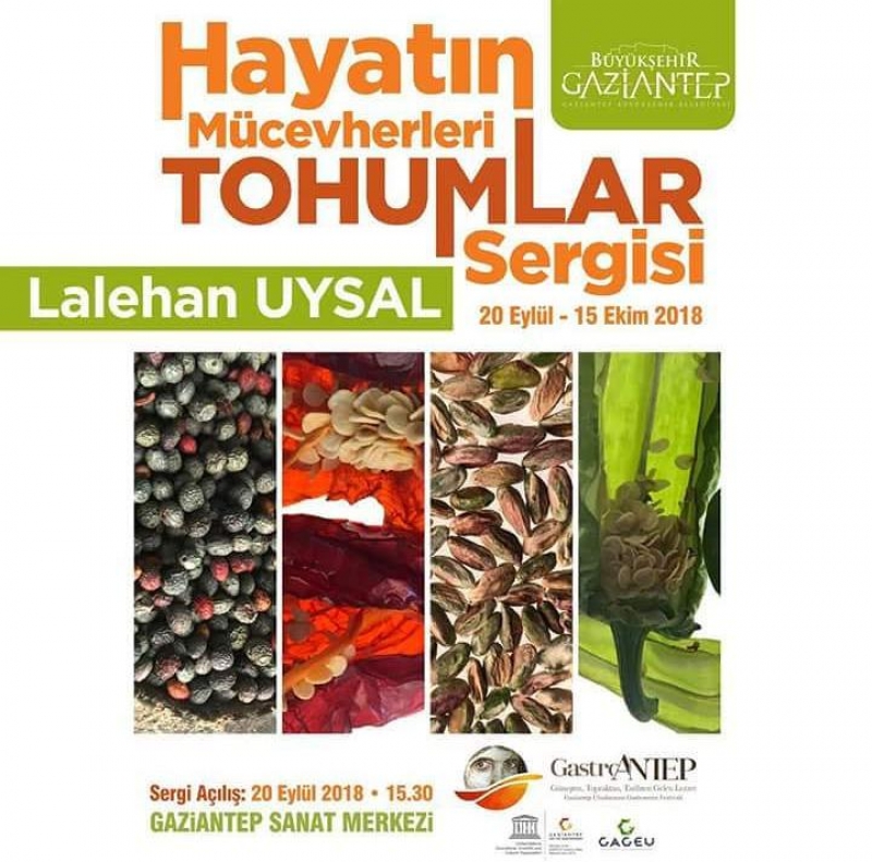 Hayatın Mücevheri Tohumları 