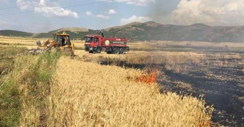 400 dönüm tarım arazisi kül oldu