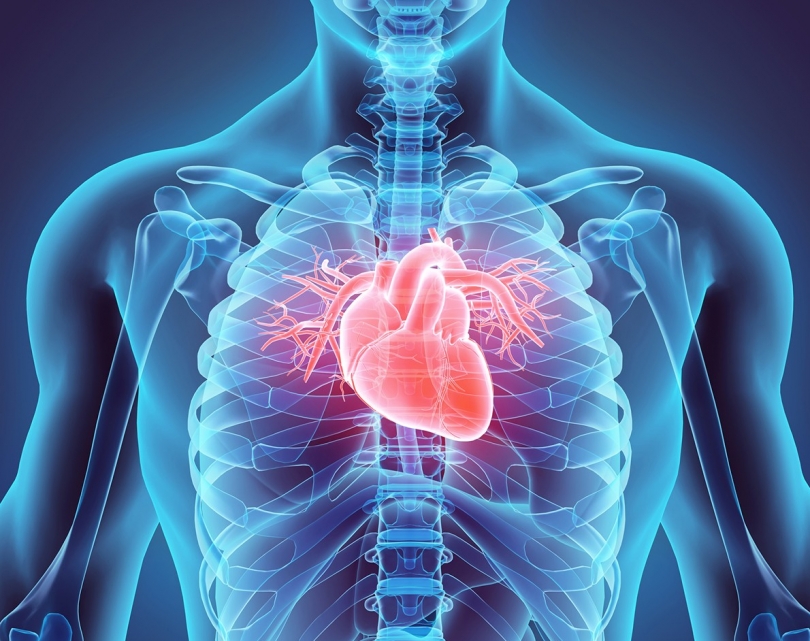 Kalp Ameliyatı Sonrası İyileşmeyi Hızlandıran 8 Kural