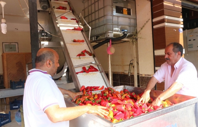 En ’acı’ yolculuk