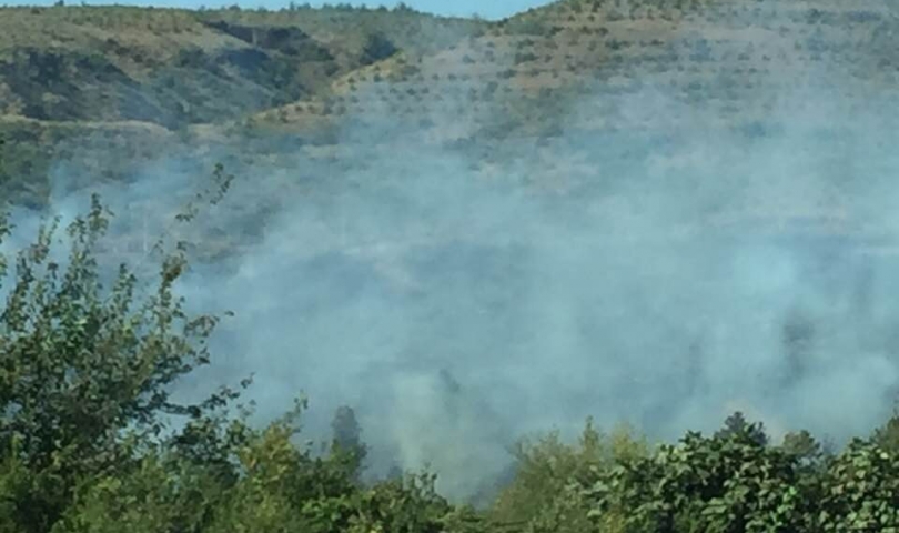 Gaziantep’te orman yangını