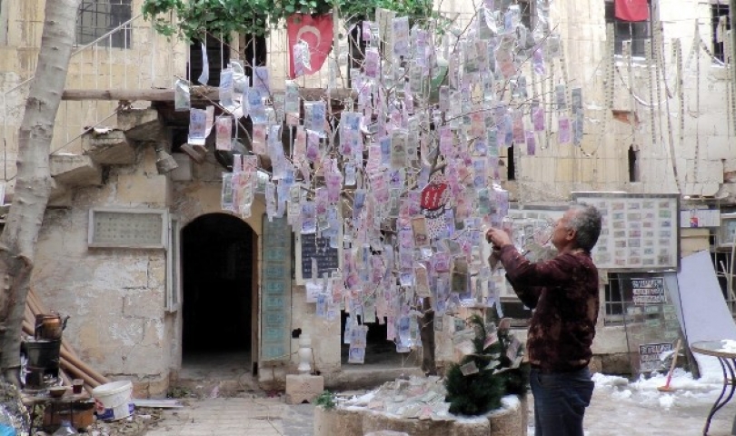 Gaziantep'in en pahalı ağacı