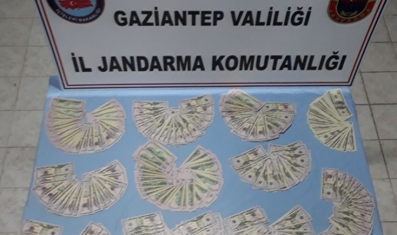 Gaziantep’te Sahte 74 bin 650 dolar Ele Geçirildi