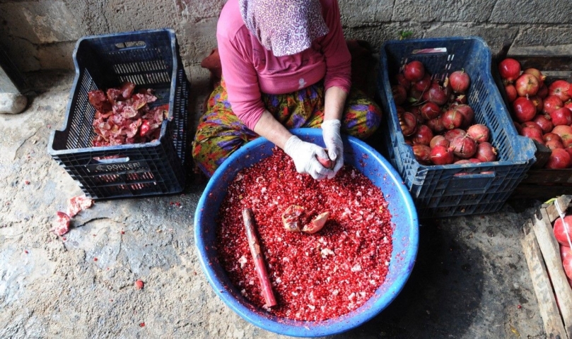 Gaziantep’te nar Ekşisi Telaşı Başladı