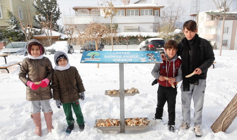 Şehitkamil Belediyesi, Hayvanları Unutmadı