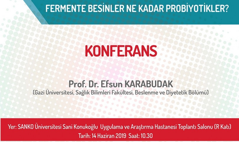 Fermente besinler ne kadar probiyotikler?