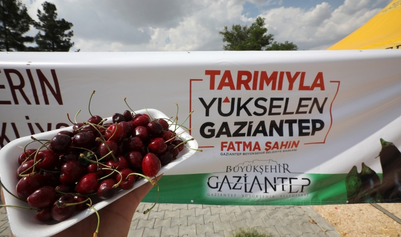 2’nci Kiraz Hasat Şenliği düzenlendi