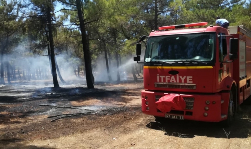 Burç ormanı’ndaki yangına erken müdahale