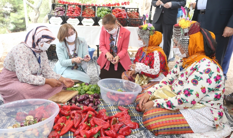 Gastroantep, Antep fıstığı hasadı ve şire yapımıyla başladı