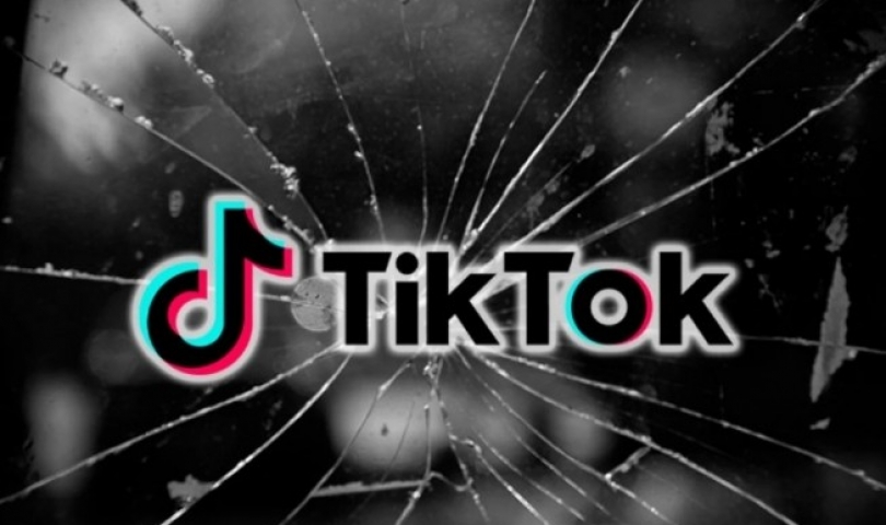 TikTok, 2020 Yılında En Çok İndirilen Uygulama Oldu