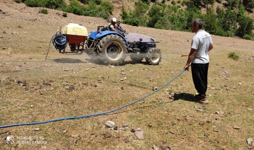 İslahiye’de çekirge mücadelesi başarılı oldu