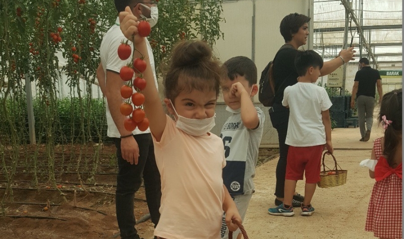 Büyükşehir, Gazi şehrin minik elleriyle sebze hasadı yaptı!