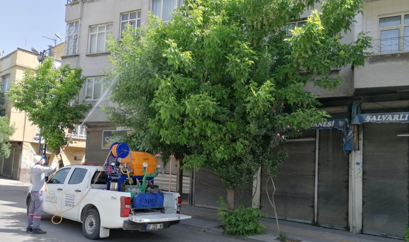 Gaziantep Büyükşehir, sivrisinek ve karasineklere karşı kent genelindeki ilaç çalışmalarını sürdürüyor
