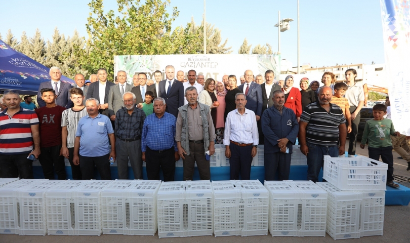 Gaziantep Büyükşehir Oğuzeli’nde 10 bin hasat kasası dağıttı