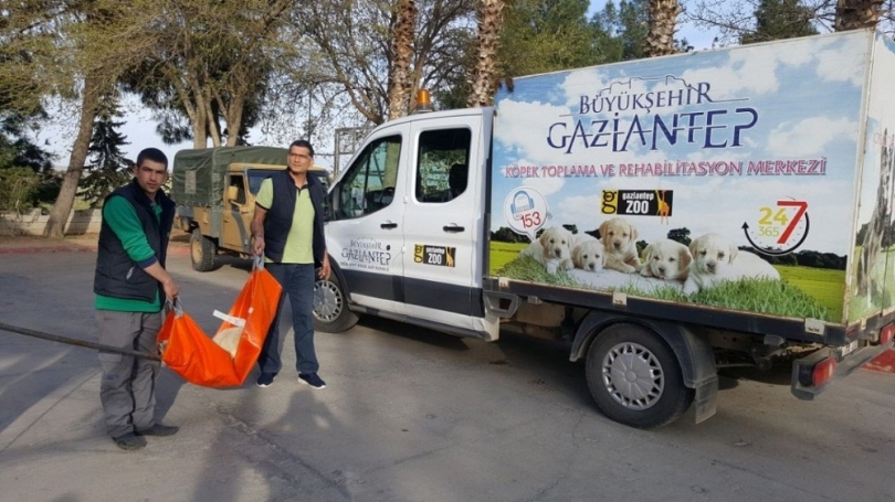 Sınırdaki yaralı köpek kurtarıldı