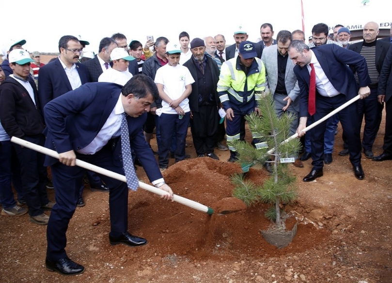 Şehitkamil'de yeni ormanlar kuruluyor