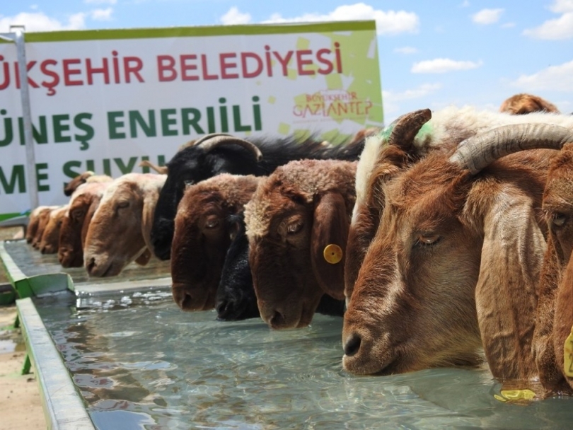 Büyükşehir’den güneş enerjili içme suyu