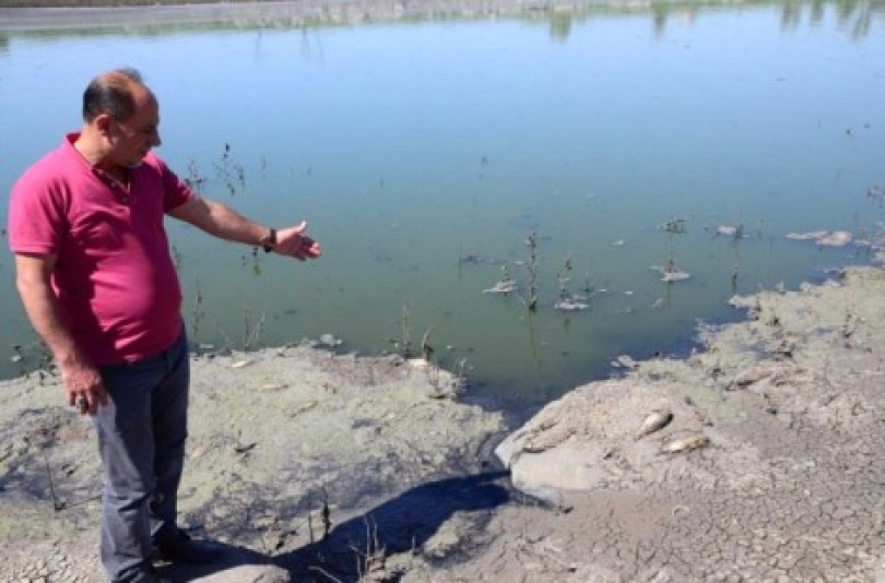 Gaziantep’te korkutan balık ölümleri