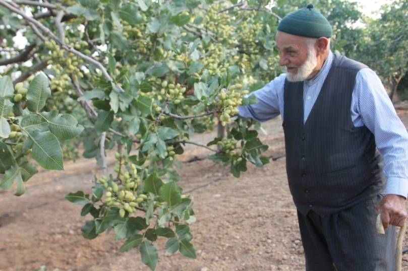 Babasının bir sözünü dinledi, her yıl bir kilo altın alıyor