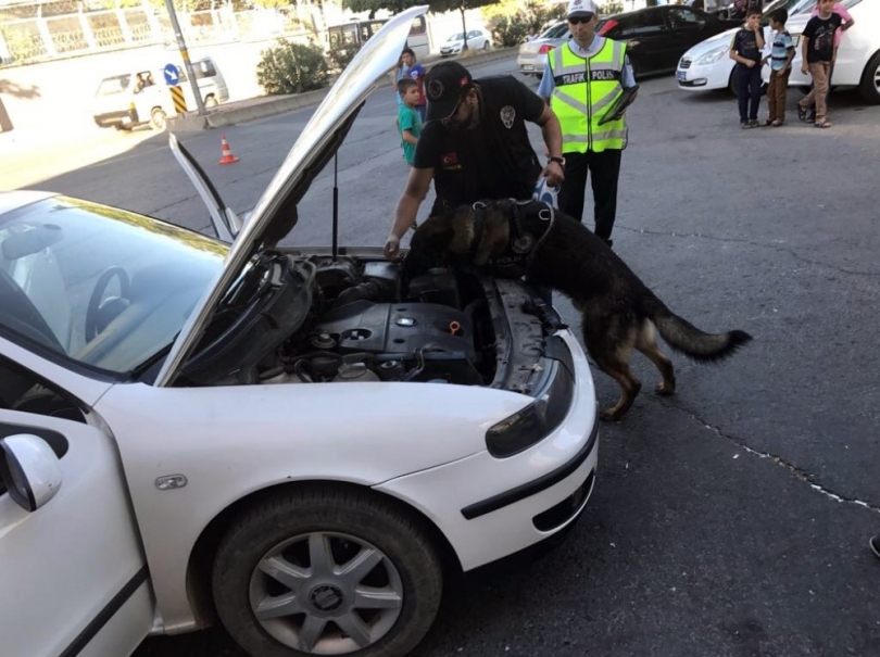 Uygulamalarda bir ayda 8 bin 781 kişi sorgulandı, 21 kişi gözaltına alındı