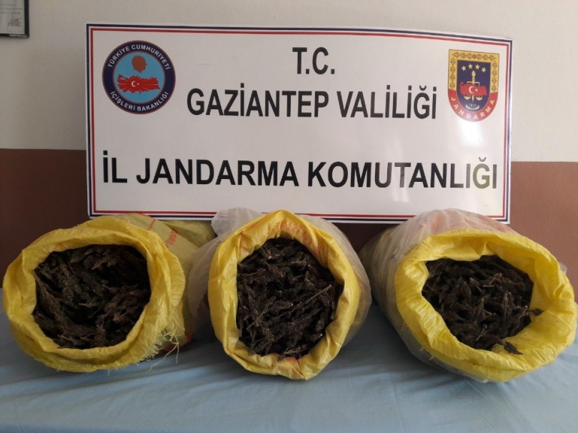 Gaziantep’te yol uygulamasında 15 kilo esrar ele geçirildi