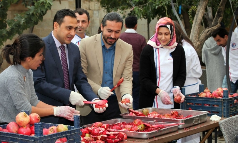 Üniversite öğrencilerinden renkli nar festivali