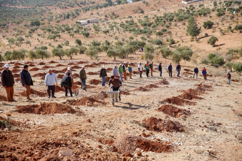 15. etap Bi dünya yeşil ormanı kuruluyor