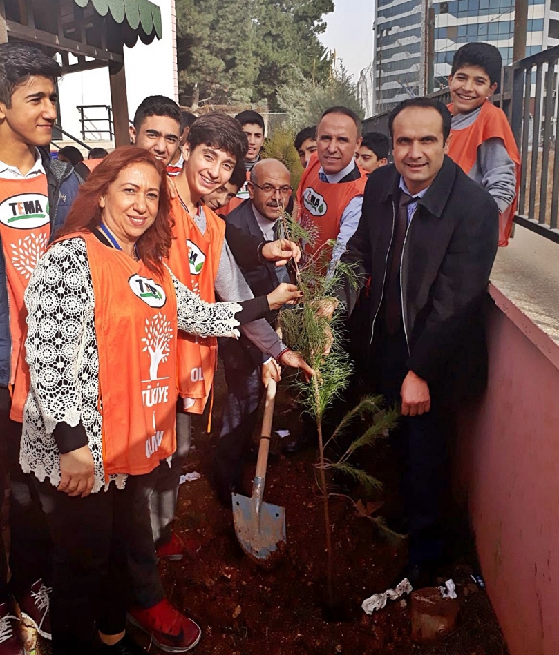 TEMA Vakfı Gaziantepliler Anadolu Lisesi Bahçesinede  Ağaç Dikti