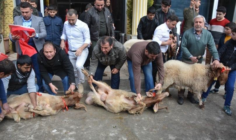 Gaziantepli iş adamından Zeytin Dalı’na 5 kurban