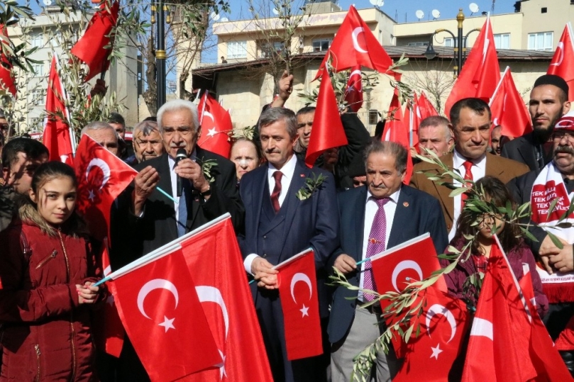 Afrin’deki operasyona şehit ailelerinden zeytin dalı ile destek