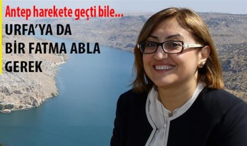 Fatma Şahin Şanlıurfa Basınında: Urfa'ya da bir Fatma Abla gerek