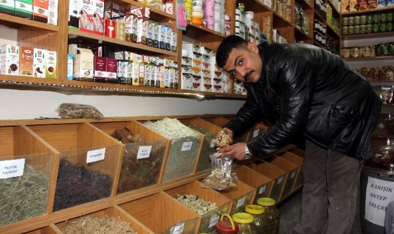 Gaziantep'te doğal antibiyotiğe yoğun ilgi