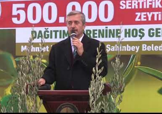 Şahinbey’den çiftçilere 500.000 adet zeytin fidanı