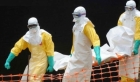 Ebola virüsü nedir, nasıl bulaşır?