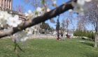 Gaziantep’e bahar erken geldi